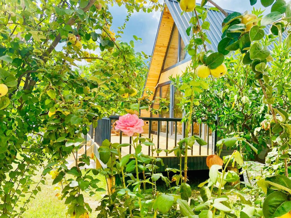 Garden Bungalow アンタルヤ エクステリア 写真